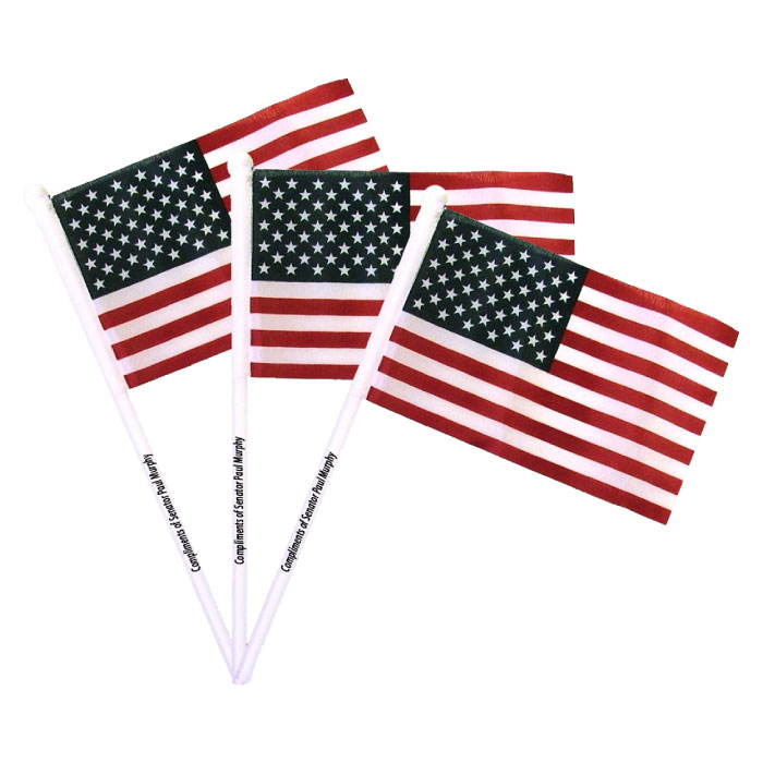 Election Campaign Promotional Accessories